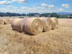 #23842 Terreno agricolo di mq31380