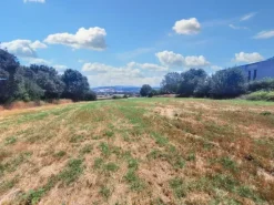 #23842 Terreno agricolo di mq31380