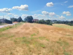 #23842 Terreno agricolo di mq31380