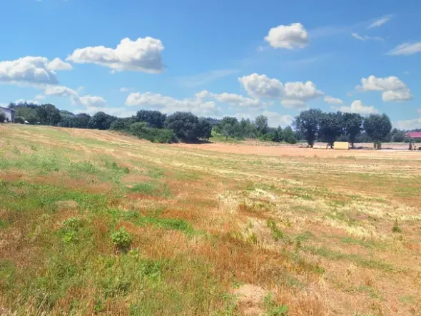#23842 Terreno agricolo di mq31380