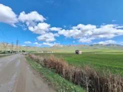 #25601 Terreno agricolo di 19.648 mq