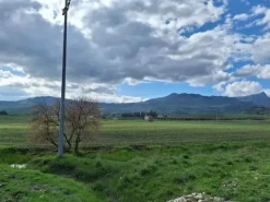 #25601 Terreno agricolo di 19.648 mq
