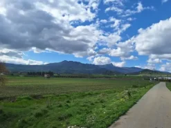 #25601 Terreno agricolo di 19.648 mq