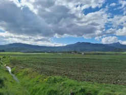 #25601 Terreno agricolo di 19.648 mq