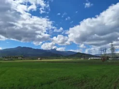 #25601 Terreno agricolo di 19.648 mq