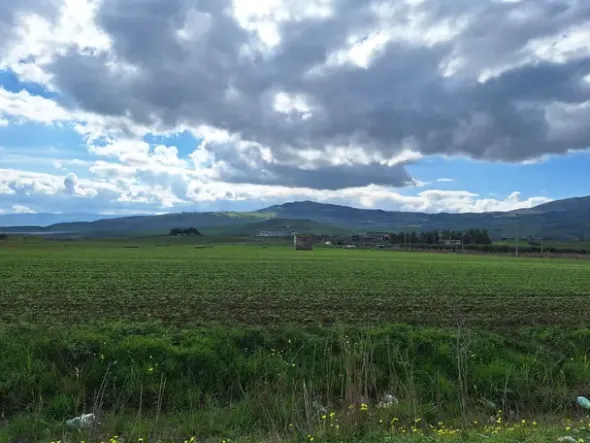 #25601 Terreno agricolo di 19.648 mq