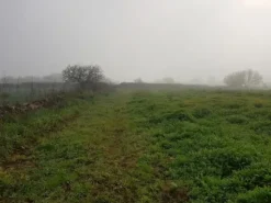 #23968 Terreno agricolo di 17.766 mq