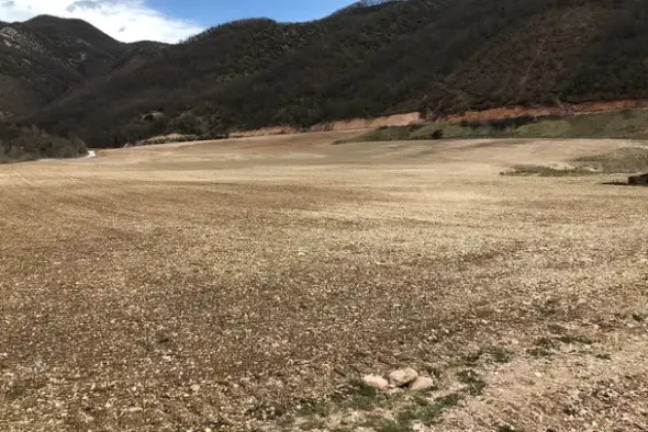 #19959 Terreno agricolo di 88121 mq