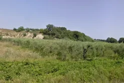 #4750 Terreno agricolo di 12.210 mq