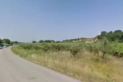 #4750 Terreno agricolo di 12.210 mq