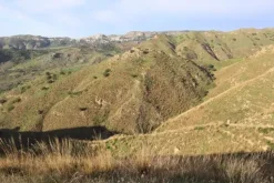 #18174 Terreno agricolo di 24.430 mq