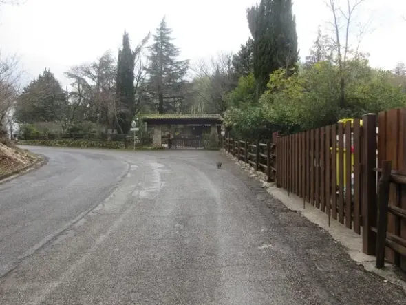 #12768 Terreno agricolo di 15.961 mq