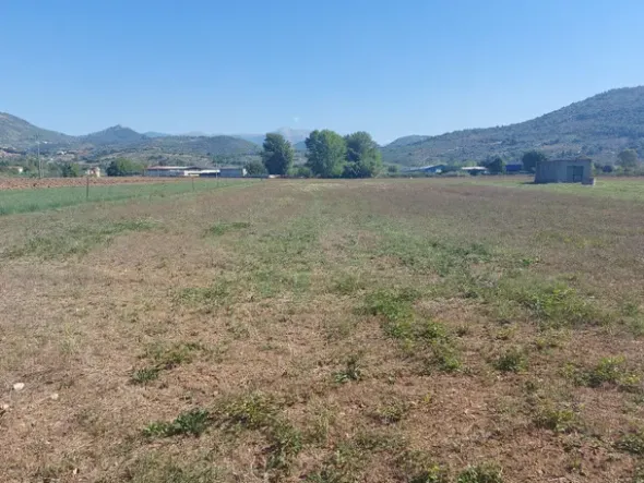 #18676 Terreno agricolo di mq 2.600