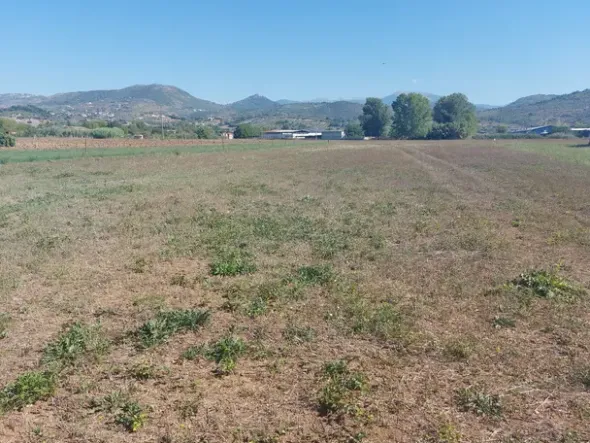 #18676 Terreno agricolo di mq 2.600