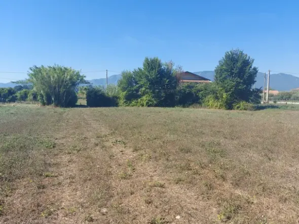 #18676 Terreno agricolo di mq 2.600