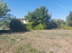 #18676 Terreno agricolo di mq 2.600