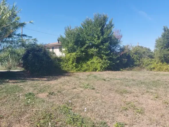 #18676 Terreno agricolo di mq 2.600