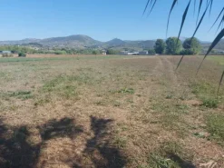 #18676 Terreno agricolo di mq 2.600