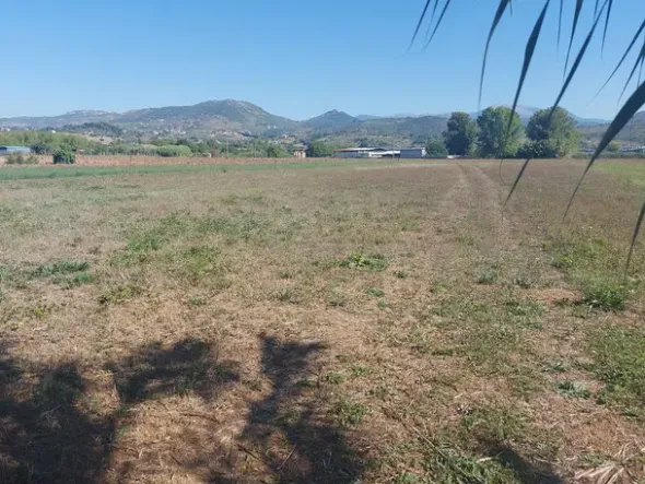 #18676 Terreno agricolo di mq 2.600