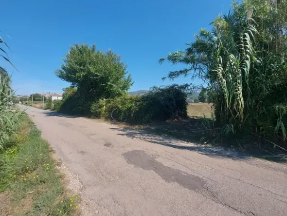 #18676 Terreno agricolo di mq 2.600