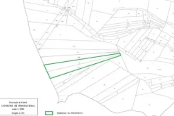 #4789 Terreno agricolo di 8.170 mq