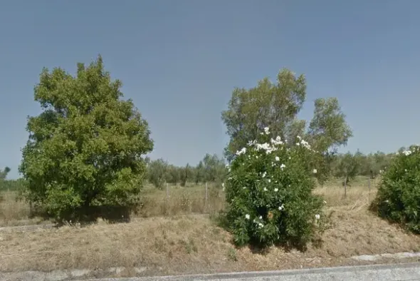 #4755 Terreno agricolo di 17.520 mq