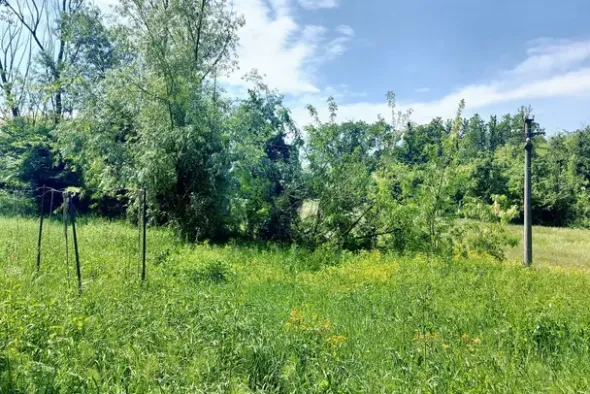 #23670 Terreno agricolo di 2.405 mq