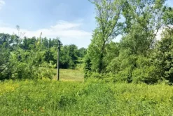 #23670 Terreno agricolo di 2.405 mq