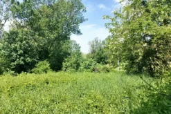 #23670 Terreno agricolo di 2.405 mq