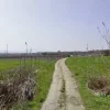 #4756 Terreno agricolo di 17.960 mq