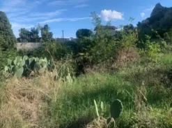 #2639830 Terreno agricolo di mq 4.089