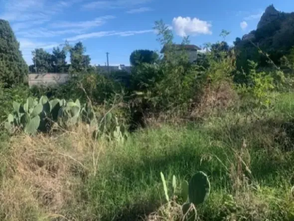 #2639830 Terreno agricolo di mq 4.089