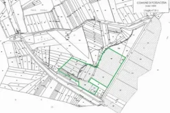 #4757 Terreno agricolo di 84.203 mq