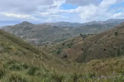 #18177 Terreno agricolo di 111.100 mq