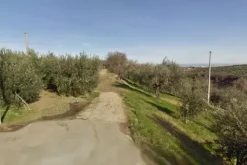 #24763 Terreno agricolo di 15.010 mq