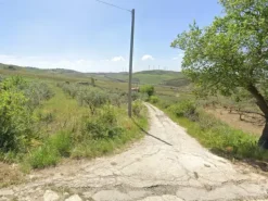 #25753 Terreno agricolo di 4.340 mq