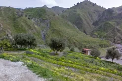 #18173 Terreno agricolo di 8.600 mq