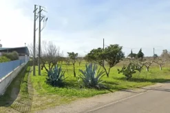 #13594 Terreno agricolo di 7925 mq