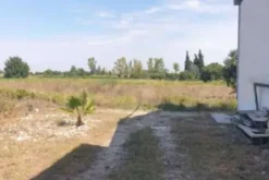 #13594 Terreno agricolo di 7925 mq