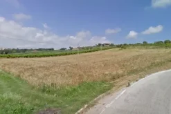 #4749 Terreno agricolo di 30.200 mq