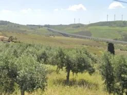 #25753 Terreno agricolo di 4.340 mq