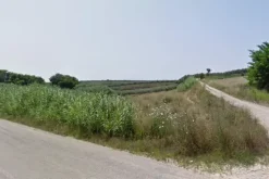 #4751 Terreno agricolo di 30.360 mq