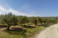 #4751 Terreno agricolo di 30.360 mq