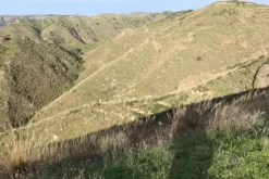 #18165 Terreno agricolo di 21.790 mq