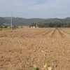 #24234 Terreno agricolo di 75585mq