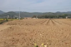 #24234 Terreno agricolo di 75585mq
