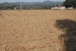#24234 Terreno agricolo di 75585mq
