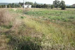 #24234 Terreno agricolo di 75585mq
