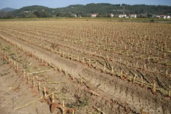 #24234 Terreno agricolo di 75585mq