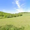 #2536018 Terreno agricolo di 8.126 mq